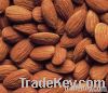 Sell Almond Nuts