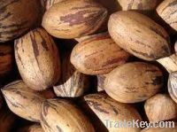 Sell pecan nuts