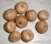 Sell betel nuts