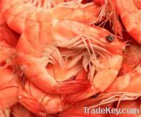 Sell fresh water prawns