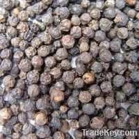 Sell black pepper