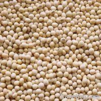 Sell soya bean