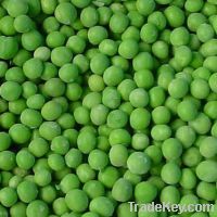 Sell green peas