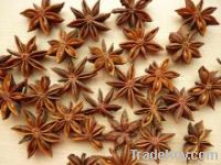 Sell star anise seeds