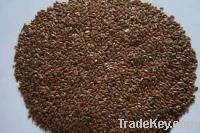 Sell linseeds(flax seed)