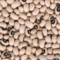 Sell black eye beans