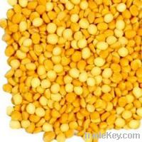 Sell chana dal