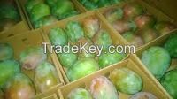 Fresh Mangos  for sale