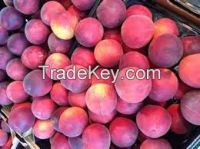 fresh peaches for sale