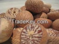 Betel nuts for sale