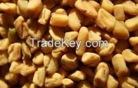 Fenugreek seeds for sale
