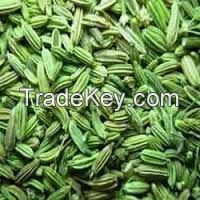 Fennel Seed for sale