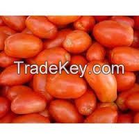fresh tomatoes for sale