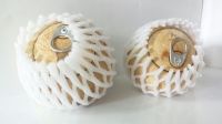 Big sale for fresh coconut new item with ring pull