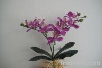Sell Artifical orchid with leaves