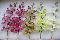 Sell artificial flower phalaenopsis for home decoration