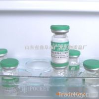 Sell High Quality Sodium Hyaluronate Food Grade