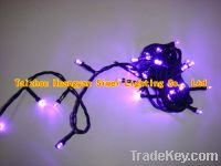 Sell holiday LED light chain, purple LEDs