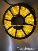Sell high quality LED rope light, yellow LED