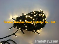 Sell christmas LED light chain, warm white LED