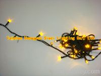 Sell christmas LED light chain, yellow LED