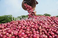 Indian Onion