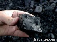 Sell Export  Steam Coal | Steam Coal Suppliers | Steam Coal Exporters | Steam Coal Traders | Steam Coal Buyers | Steam Coal Wholesalers | Low Price Steam Coal | Best Buy Steam Coal | Buy Steam Coal