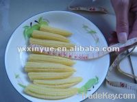 Sell Canned Baby Corn in brine