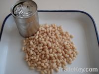 Sell Canned White/Red Kidney Bean