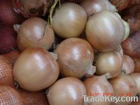 Sell Yellow Onion, Red Onion,