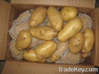 Sell Potato