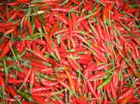 resh and frozen red chilli