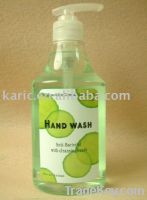 Anti-Bacterial Foaming Clear Hand Soap