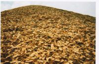 woodchips, biomasse