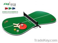 Sell Mini Table Tennis Set(YY12TTS02-G)