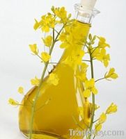 Sell Refined Rapeseed Oil ( RRO )