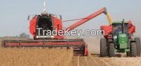 2024  Soft Offer - Soybean # 2 Non GMO