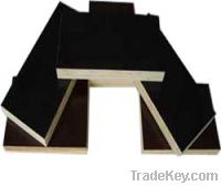Sell film faced plywood, plywood, blockboard
