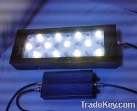 Sell Freshwater Dimmable Cree 3W LED Aquarium Reef Fish Tank Light