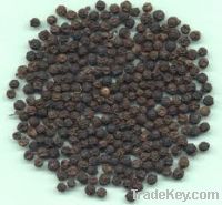 Sell Black Pepper