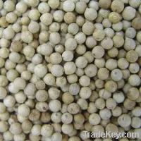 Sell White Pepper