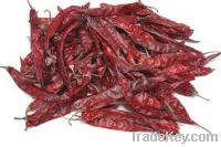 Sell Dried chili