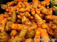 Sell Fresh turmeric