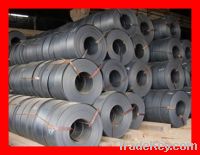 Sell 304 Stainless Steel Coil