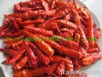 Sell dried medium chili