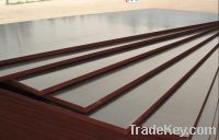 Brown Film Faced Plywood 18MM