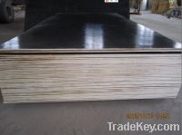 Film Faced Plywood 1 Time Pressed 18mm Black