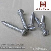 Slotted flat head galvanized self-tapping screw