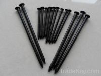 Flat head Black Concrete Nails