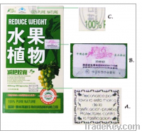 Wholesale  FRUTA PLANTA REDUCE WEIGHT weight losst capsules